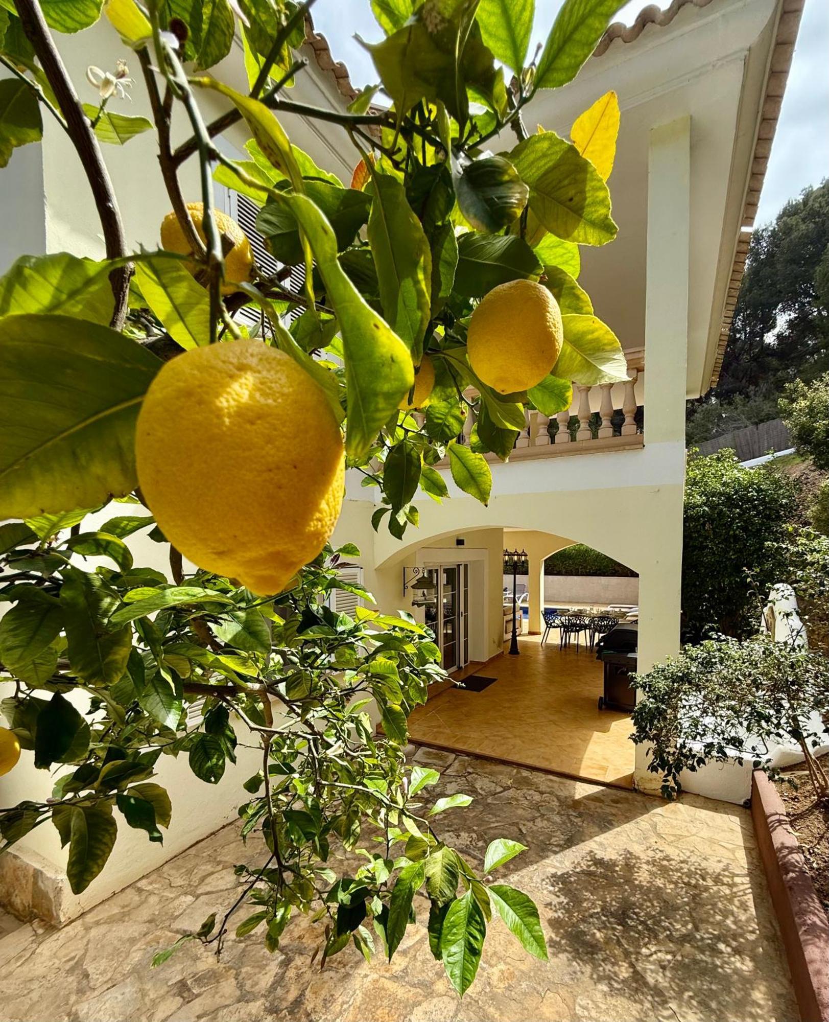 Poolvilla Patricia - Camp De Mar アンドラッチ エクステリア 写真